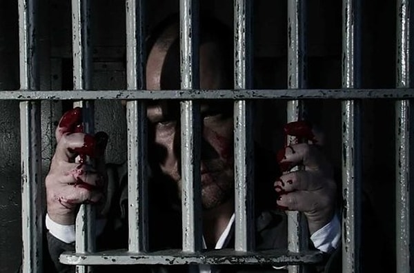 9. Убийца: Дневник убийств (1995)