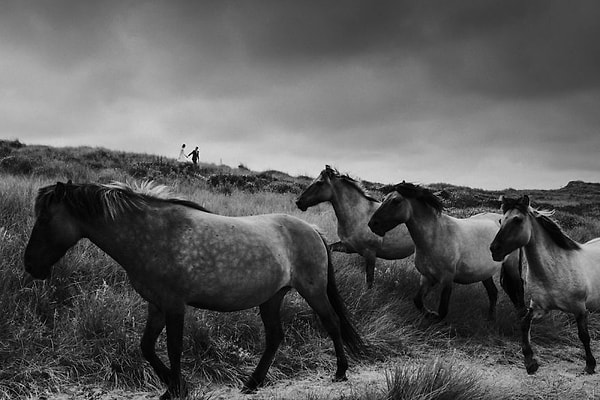 26. Шотландия