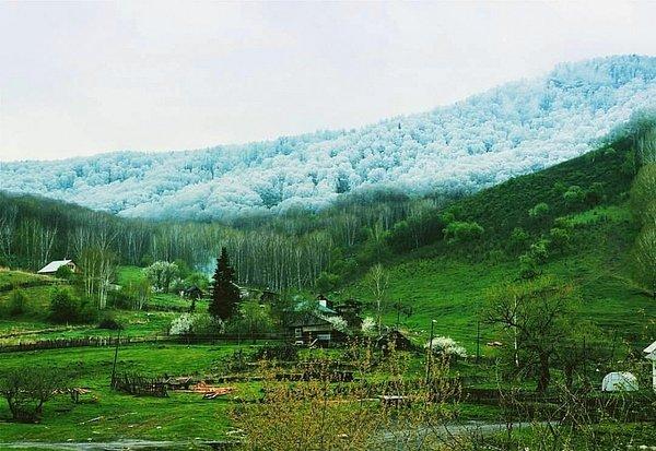 5. Altai'de kar böyle yağar! ❄