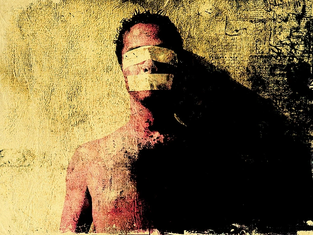 For starters, we have to talk about their most significant feature! They know everything!