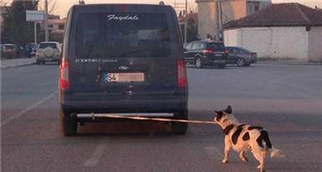 They do not respect the existence of other beings.