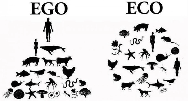 These people like to talk about themselves.