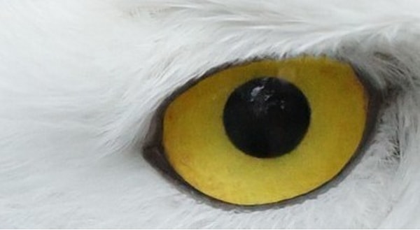 14. И последний вопрос. Легче первого 😊💪