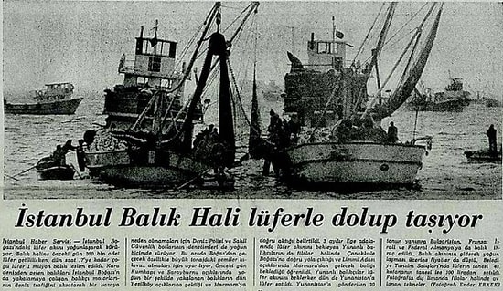 İstanbul’un Balık Bolluğu Yaşadığı Yıllara Ait 15 Çok Nostaljik Fotoğraf