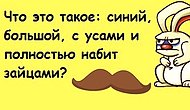 7 логических задачек: а сколько из них сможешь решить ты?