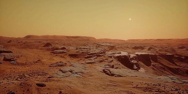 13. Mars'ın topraklarının özellikle kuşkonmaz bitkisi yetiştirmek için elverişli olduğu düşünülmektedir.