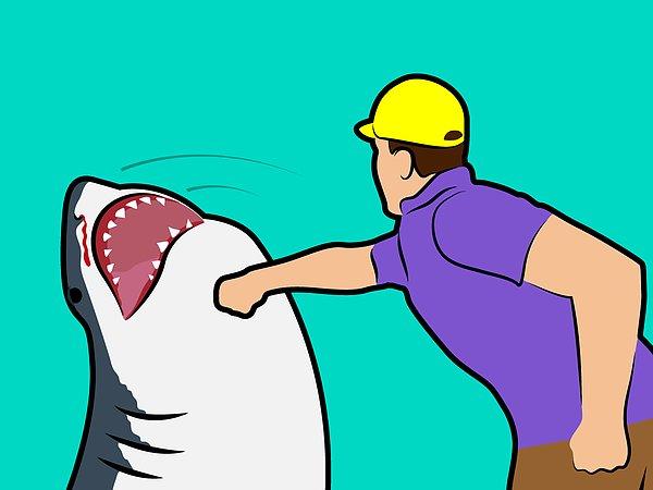 Mit 9: Köpekbalığı saldırısına uğrarsanız eğer, burnuna sağlam bir yumruk atın.