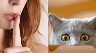 Nankörlük Bulaşıcıymış! Kedi Sahipleri İlişkilerinde Aldatmaya Daha Meyilli