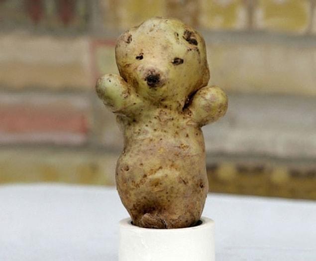 6. Cute potato teddy bear