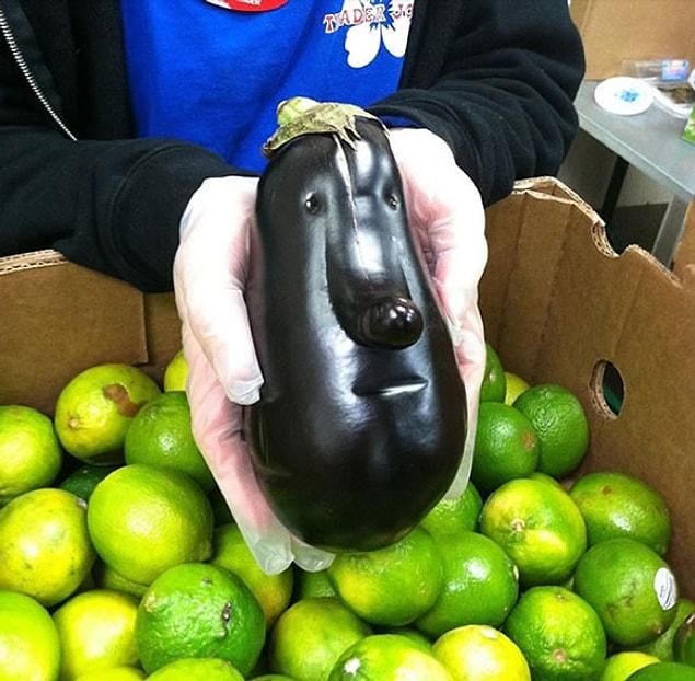 9. This eggplant has an actual face ( ͡° ͜ʖ ͡°)
