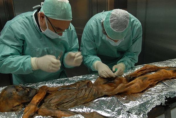 Ötzi'nin mitokondriyal DNA'sını inceleyen bilim insanları Ötzi'nin genetik soyunun tükettiğini tespit ettiler.