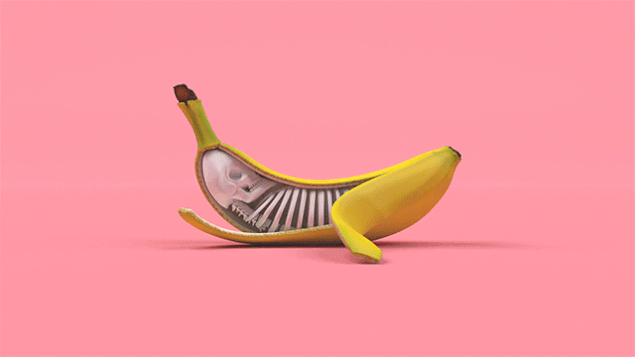 نتيجة بحث الصور عن ‪Humans share 50% of their DNA with bananas.‬‏