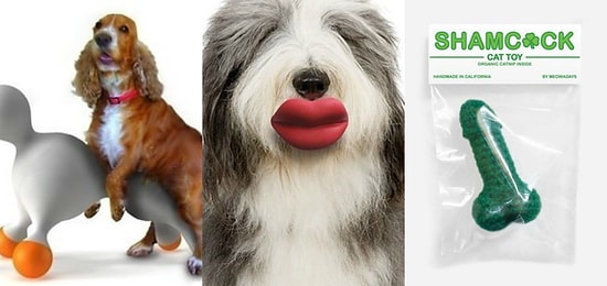 11 гиперстранных продуктов для животных