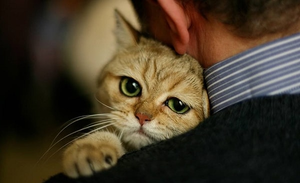 16. Попросите поддержки у ваших близких