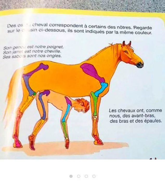В этом учебнике сравнивают кости лошади и человека. Так сказать развивают воображение у детей..
