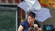 Тайваньская женщина ест булочку прямо во время смертельно опасного тайфуна