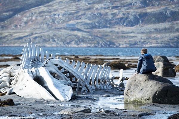 14. "Левиафан" (2014). Андрей Звягинцев.