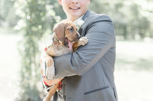 It seems like Caroline Logan, the photographer, enjoyed it as much as the puppies.