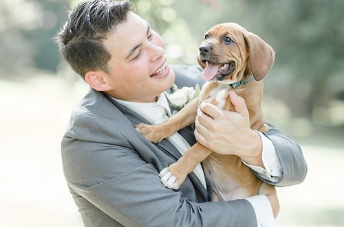 It seems like Caroline Logan, the photographer, enjoyed it as much as the puppies.