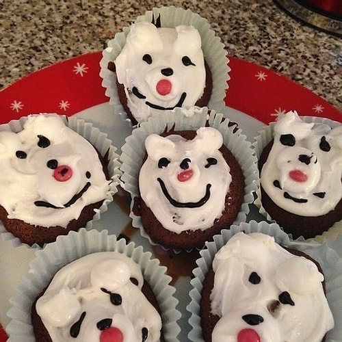 Hungover polar bears