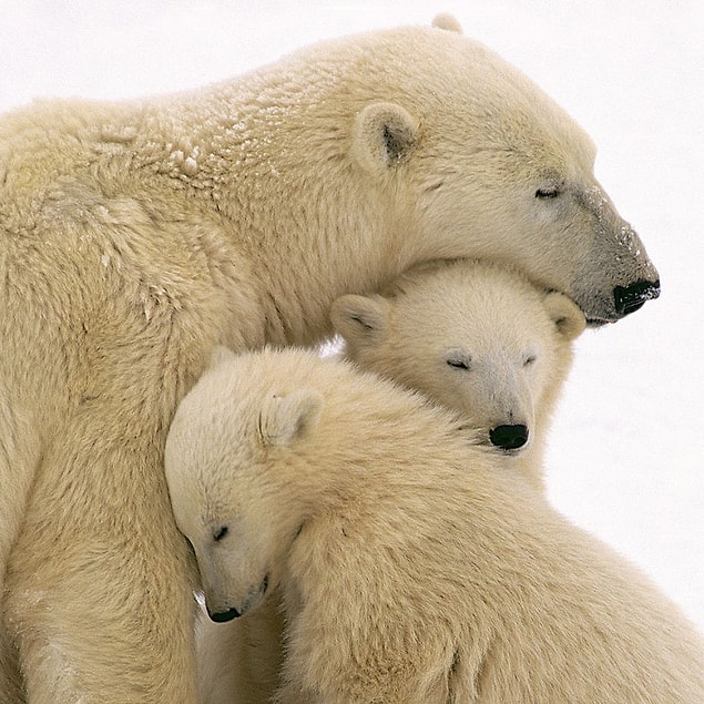 21. Quality time for the entire family!