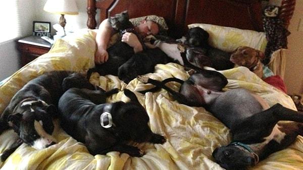 Hughes çifti bütün köpeklerinin de birer favori uyku pozisyonu olduğunu anlatıyor!