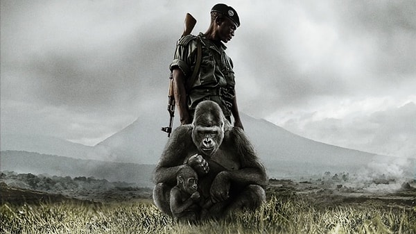 6. Вирунга (2014)