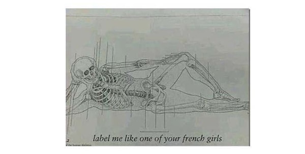 28. Домашнее задание по анатомии