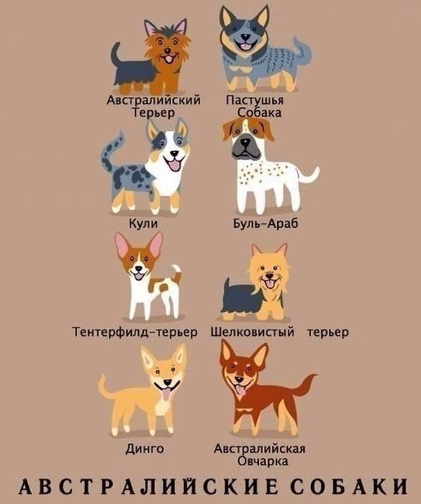 2. Австралийские