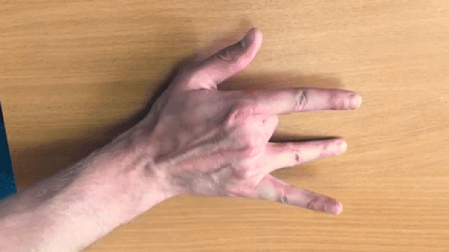 s-c876e44f11251f43998da34bae822fe3eefe0cae.gif