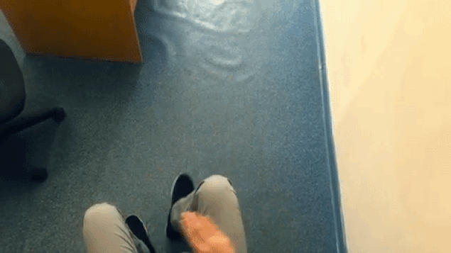 s-343b6c54de4c58fc5c2e818d9beff72ea6622886.gif