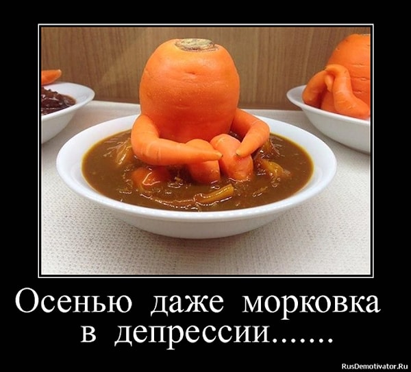 2. Не унывай - морковь с тобой!