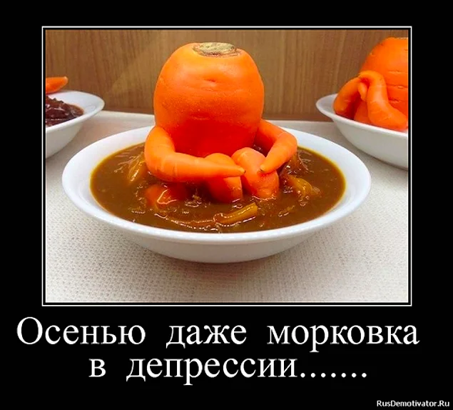 Не унывай - морковь с тобой!