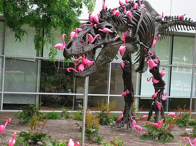17. Kampüste çoğunlukla flamingolarla kaplı olarak görebildiğiniz dinozor heykelinde barınan anlam ise manidar.
