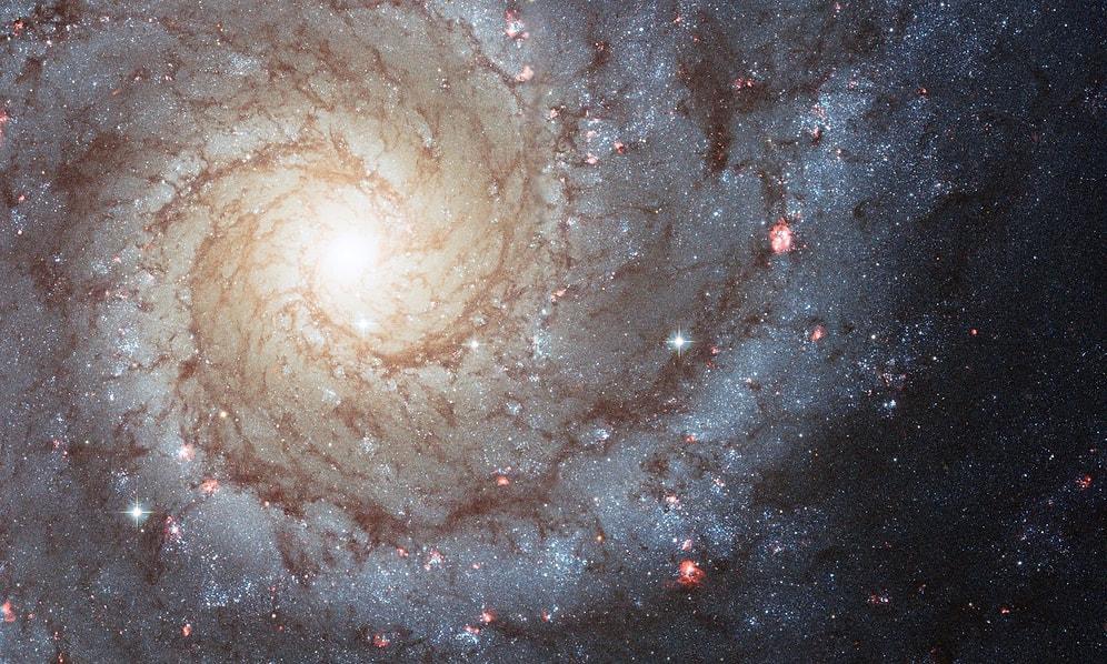 Gözlemlenebilir Evrendeki Galaksi Sayısı Sanılandan 10 Kat Daha Fazlaymış