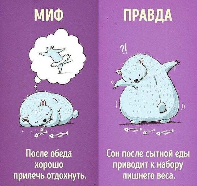 "После сытного обеда, по закону Архимеда..."
