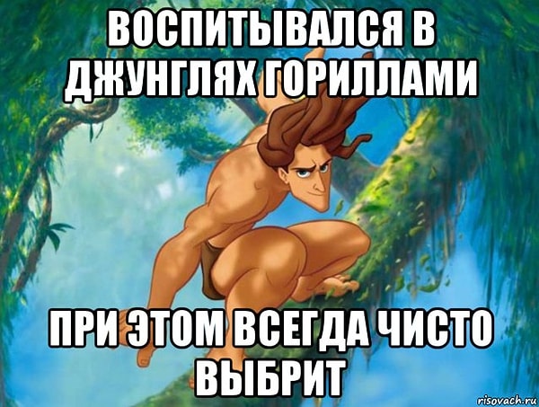 11. А вы не знали, что все гориллы бреются? 😉