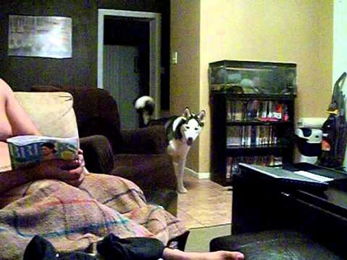 Julia Roberts'dan Aşırı Korkan Köpek