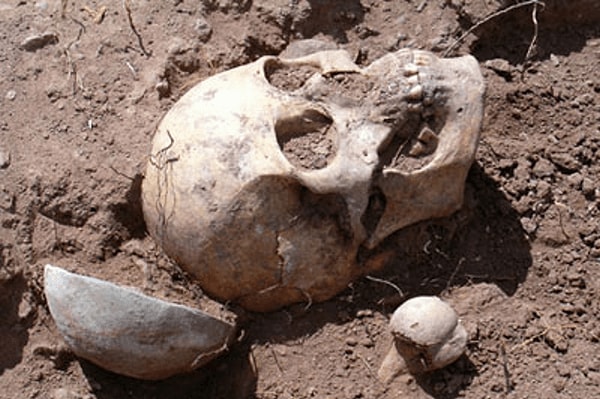 6. Мода не спасает от преступлений