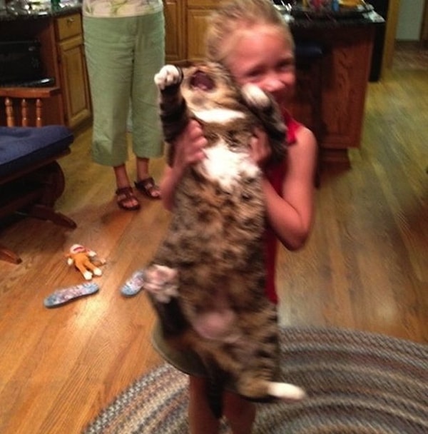 4. Двойной удар.