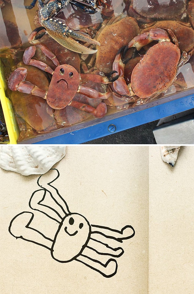 20. 🦀