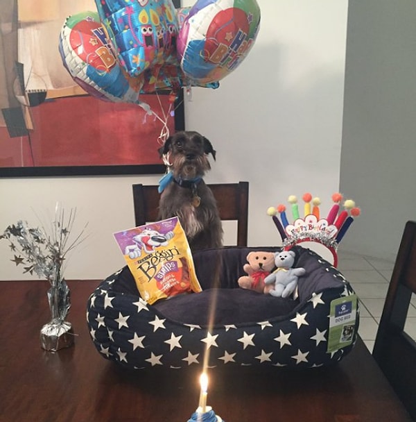 18. Они сделают все, чтобы твой день рождения стал особенным