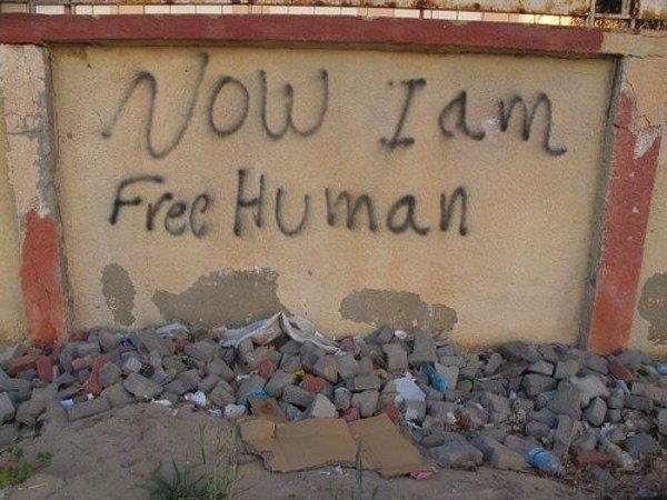 14. "Artık ben özgür bir insanım."