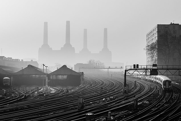 13. Adult Urban view - Highly commended