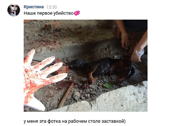 9. Своей вины в содеянном подростки не скрывают, говорят прямо: «Нам нравится убивать животных».