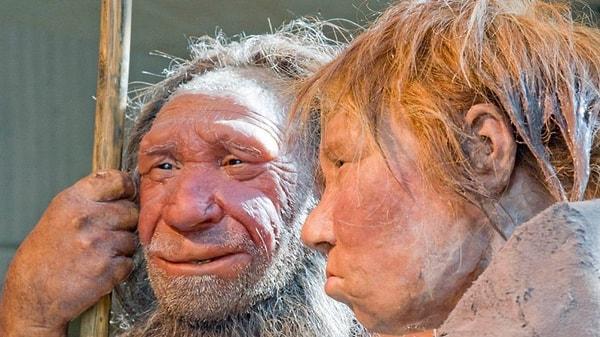 Ancak modern insanın DNA'sında izlerine rastlanan tek tür Neandertal insanına ait değil.