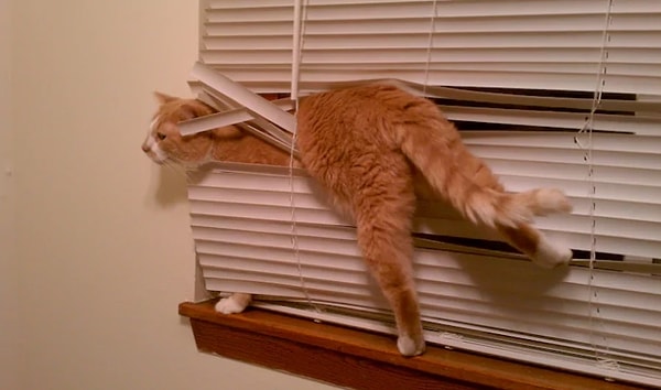 2. "Помогите!"