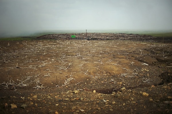 7. В радиусе 30 км выжжено около 100 тысяч гектаров земли. Из-за экологии там ничего не растет