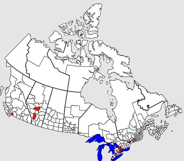 2. Kanada'nın yarı nüfusu da sadece kırmızı bölgelerde. Geriye kalan yarı diğer tüm bölgelerde.