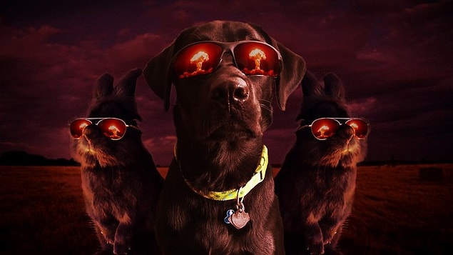 9. 😎😎